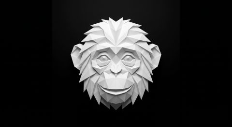 mindmonkeys