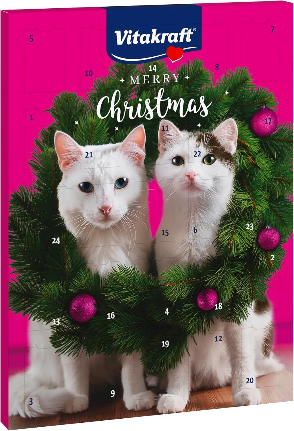 Adventskalender für Katzen – Snacks im Advent