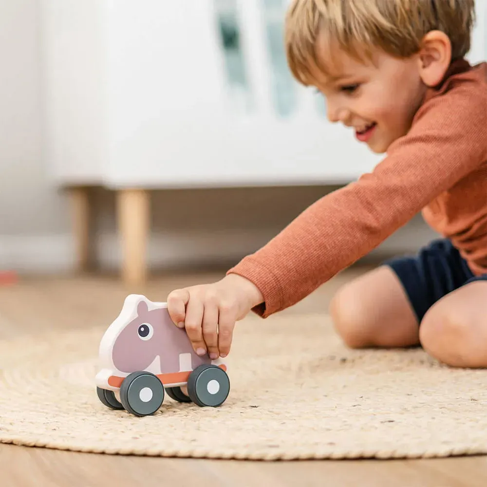Nozo Schiebespielzeug aus Holz für Babys ab Krabbelalter – Bild 3