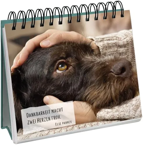 Bildband mit Hundefotos – Geschenk für Hundefans – Bild 3