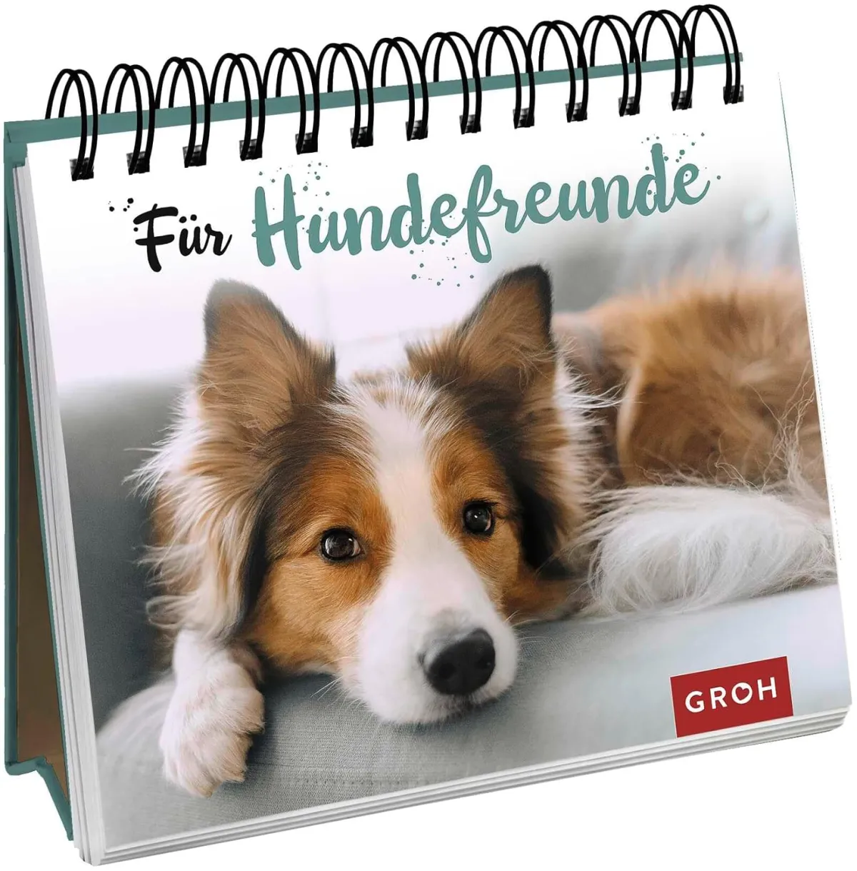 Bildband mit Hundefotos – Geschenk für Hundefans